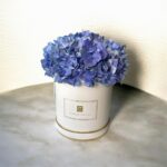 blue hydrangea box arrangement