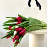 Timeless Red & White Tulip Bouquet