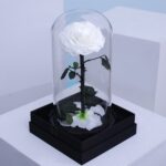 White Forever Preserved Rose