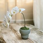 Minimal White Orchid Zen Vase