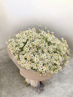 Golden Chamomile Bliss - Image 3