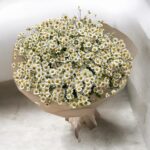 Golden Chamomile Bliss - Image 2