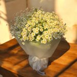 Golden Chamomile Bliss