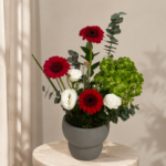 Minimal Red Gerbera